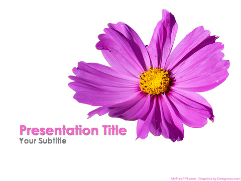 Blossom PowerPoint Template