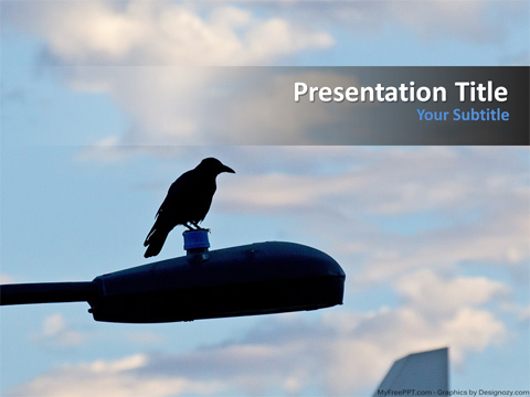 Crow Bird PowerPoint Template