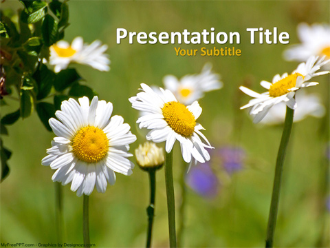 Fresh Flowers PowerPoint Template