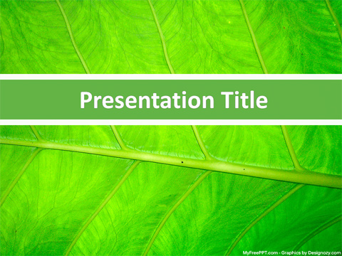 Leaf Closeup PowerPoint Template