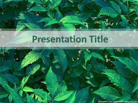 Leaves PowerPoint Template