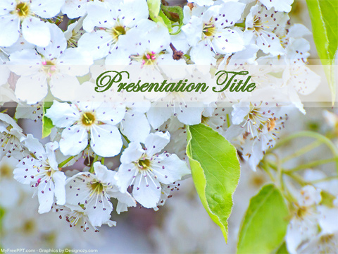 White Flowers PowerPoint Template