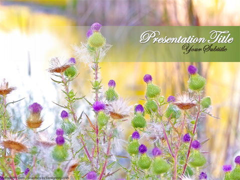 Wild Flowers PowerPoint Template